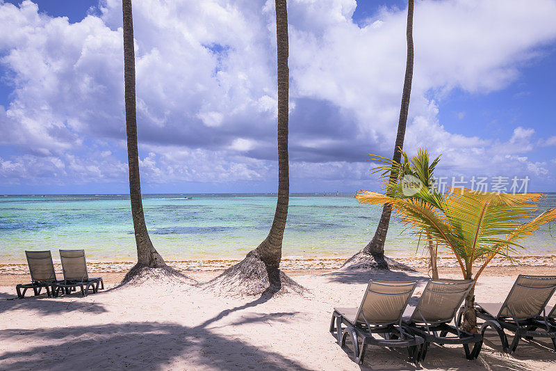 沙滩椅子下的棕榈树在Saona - Punta Cana，蓝绿色的加勒比海